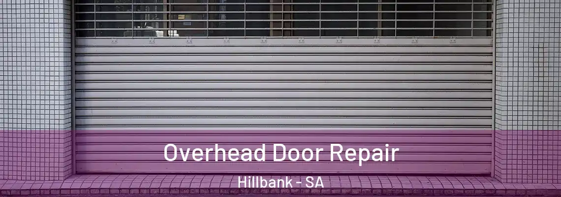 Overhead Door Repair Hillbank - SA