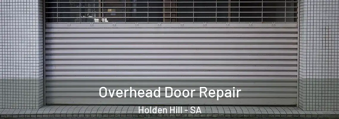 Overhead Door Repair Holden Hill - SA