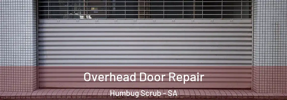 Overhead Door Repair Humbug Scrub - SA