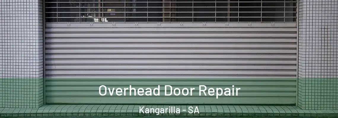 Overhead Door Repair Kangarilla - SA