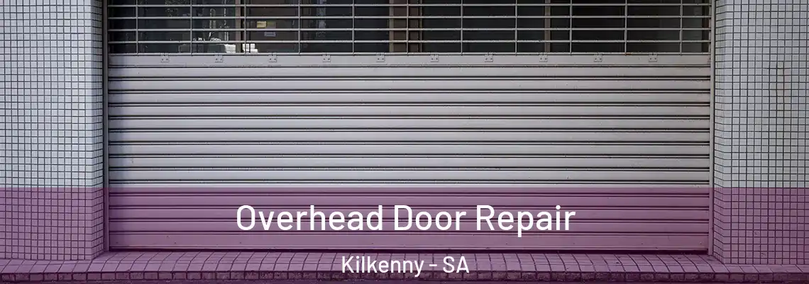  Overhead Door Repair Kilkenny - SA