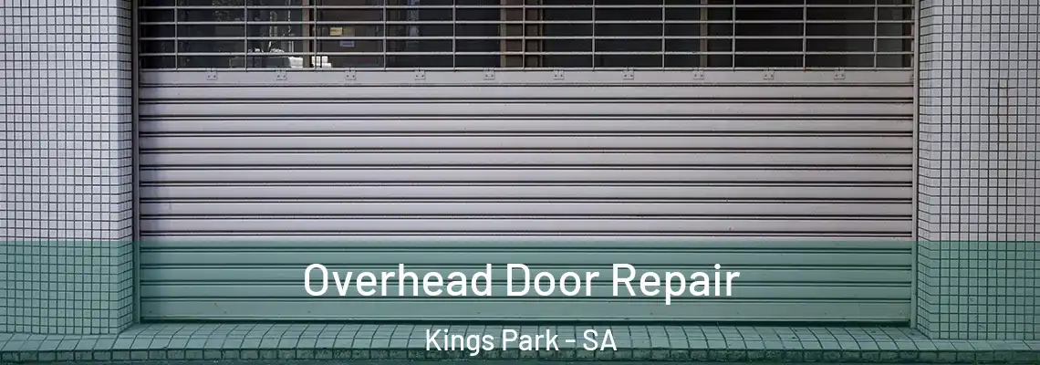  Overhead Door Repair Kings Park - SA