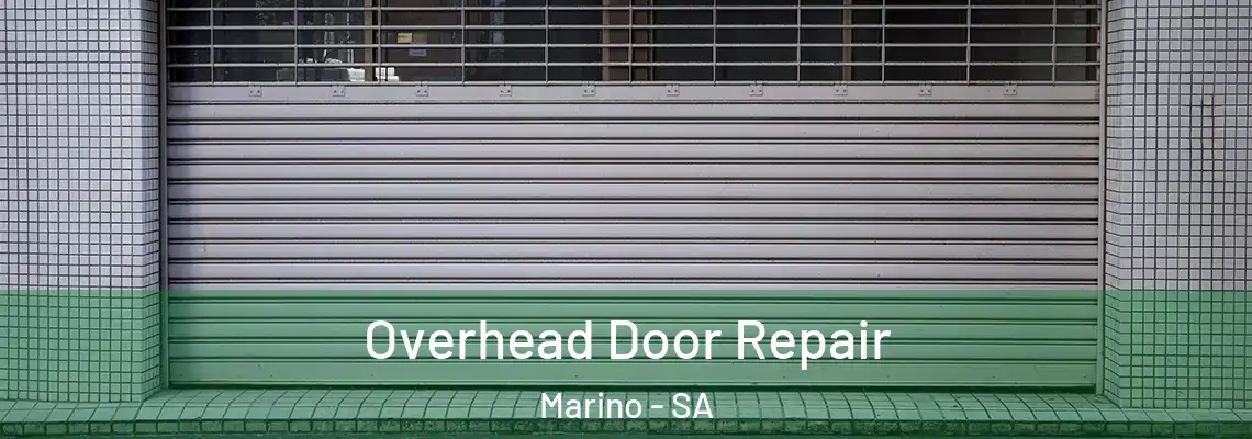 Overhead Door Repair Marino - SA