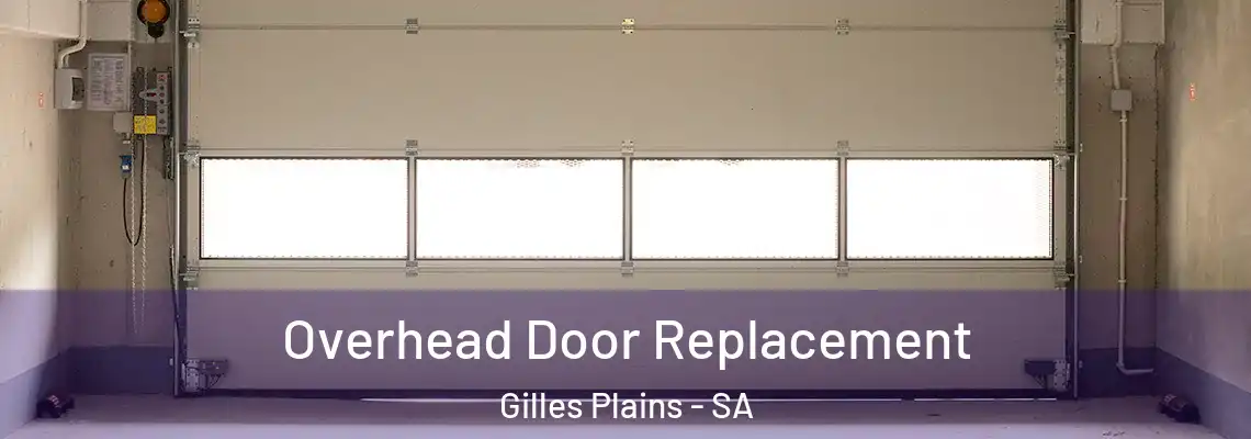 Overhead Door Replacement Gilles Plains - SA