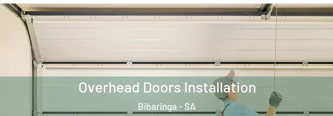 Overhead Doors Installation Bibaringa - SA