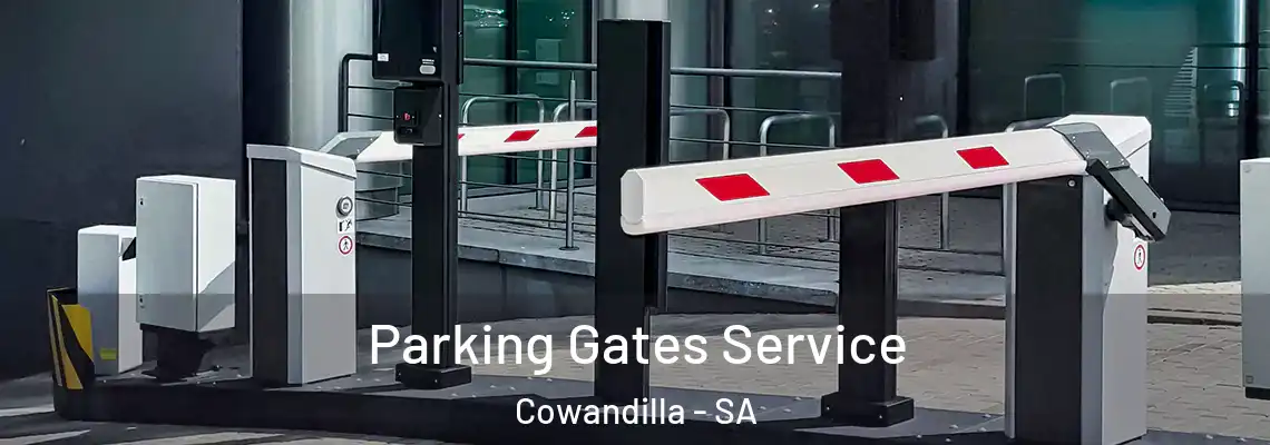  Parking Gates Service Cowandilla - SA