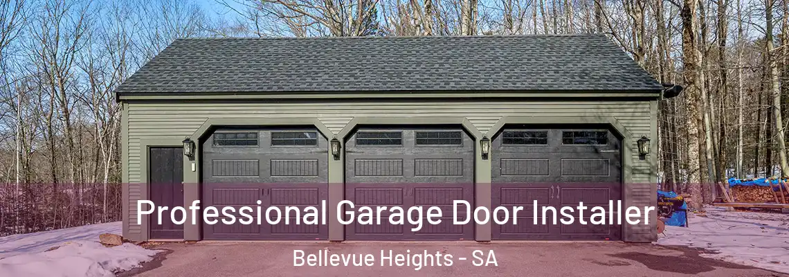  Professional Garage Door Installer Bellevue Heights - SA