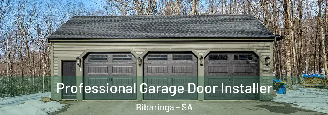 Professional Garage Door Installer Bibaringa - SA