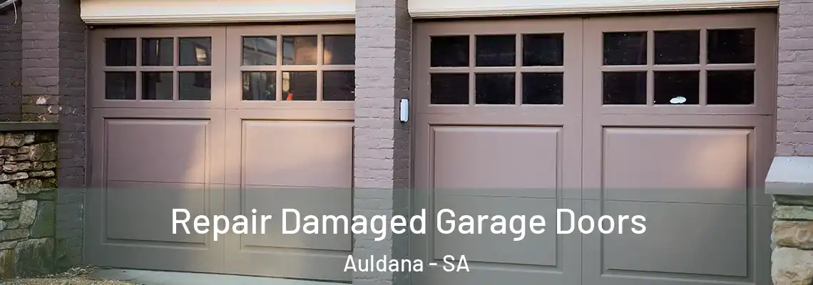  Repair Damaged Garage Doors Auldana - SA