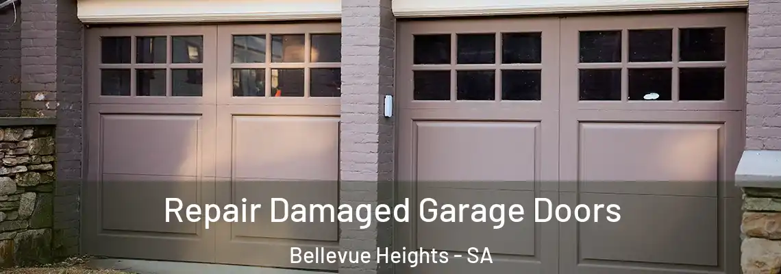  Repair Damaged Garage Doors Bellevue Heights - SA