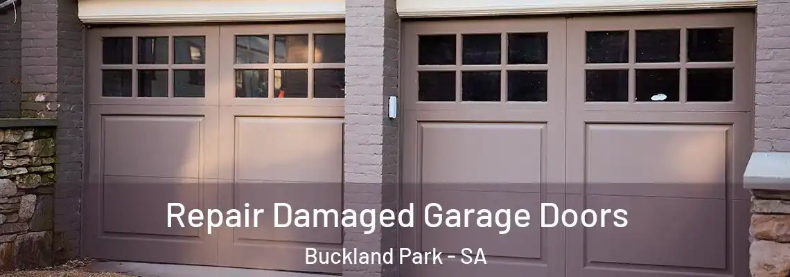  Repair Damaged Garage Doors Buckland Park - SA