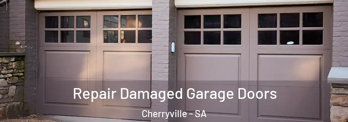  Repair Damaged Garage Doors Cherryville - SA