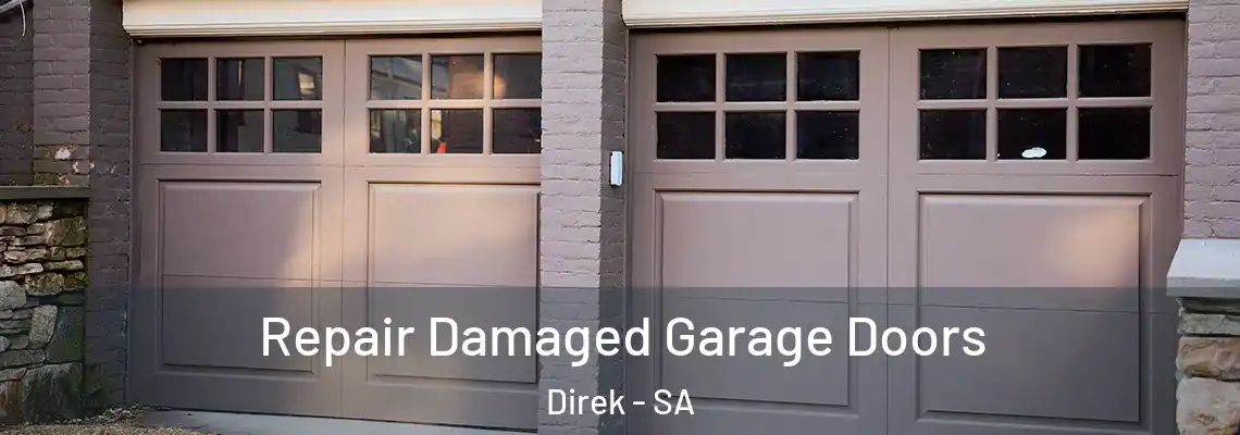  Repair Damaged Garage Doors Direk - SA