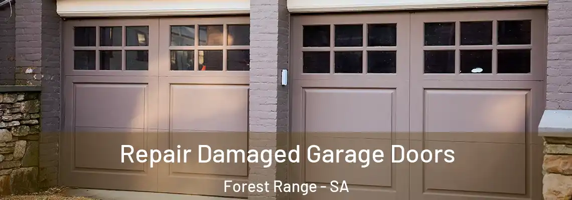  Repair Damaged Garage Doors Forest Range - SA