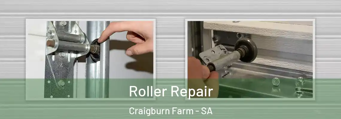  Roller Repair Craigburn Farm - SA