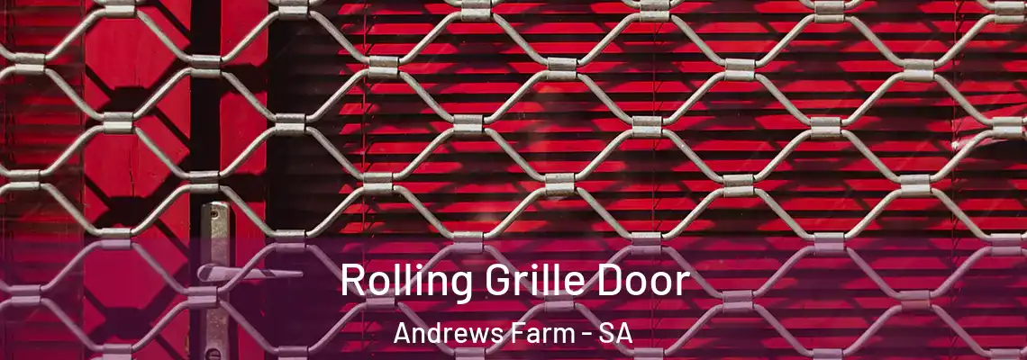 Rolling Grille Door Andrews Farm - SA