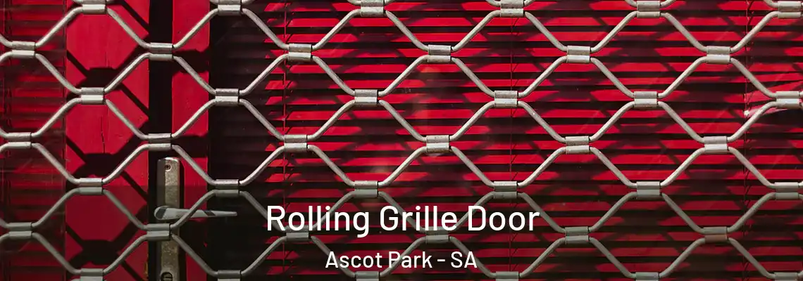 Rolling Grille Door Ascot Park - SA