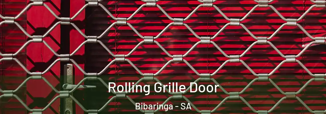  Rolling Grille Door Bibaringa - SA