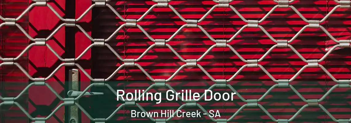 Rolling Grille Door Brown Hill Creek - SA