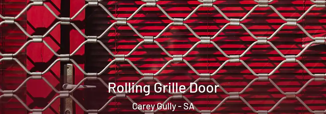  Rolling Grille Door Carey Gully - SA