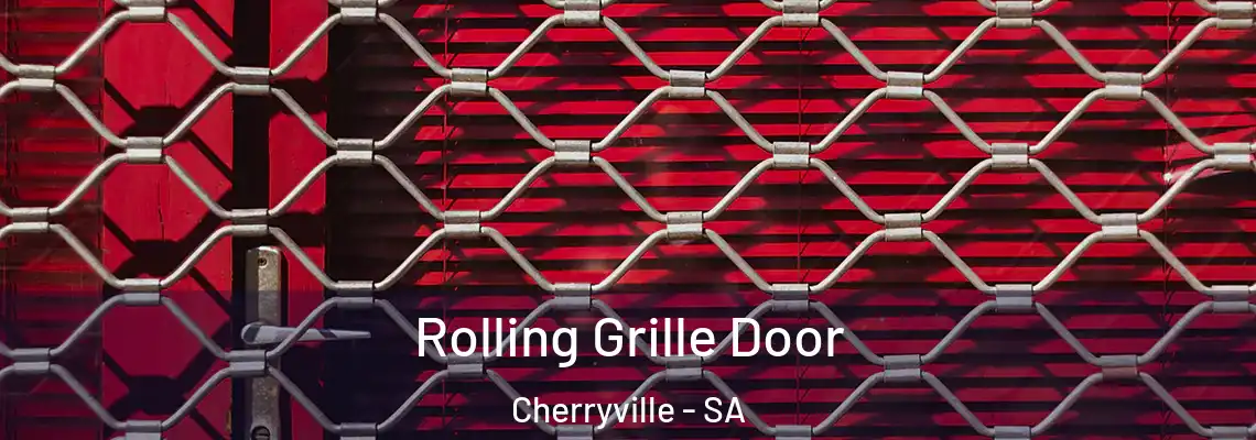 Rolling Grille Door Cherryville - SA