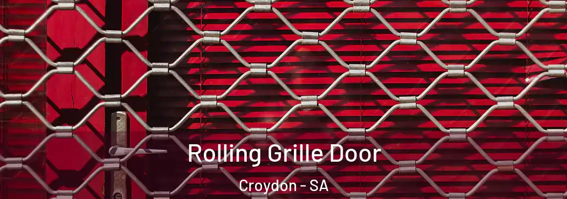 Rolling Grille Door Croydon - SA
