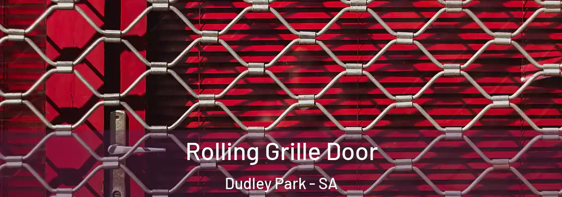 Rolling Grille Door Dudley Park - SA