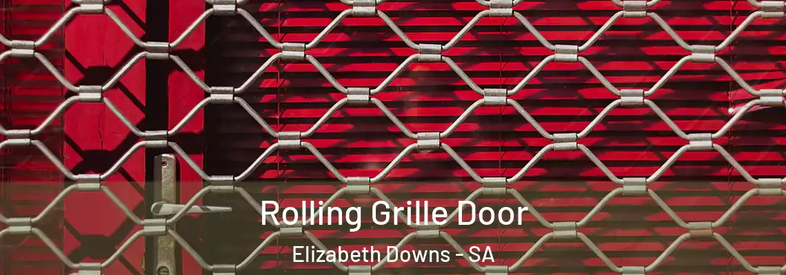  Rolling Grille Door Elizabeth Downs - SA