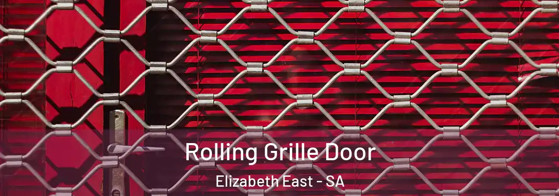 Rolling Grille Door Elizabeth East - SA