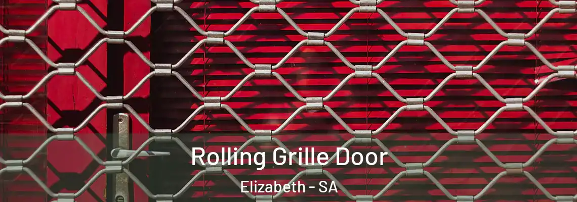 Rolling Grille Door Elizabeth - SA