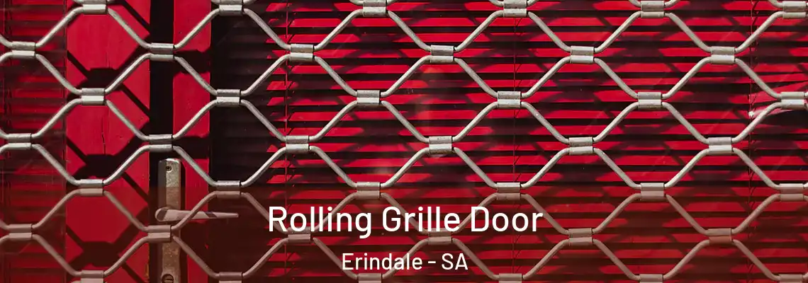  Rolling Grille Door Erindale - SA