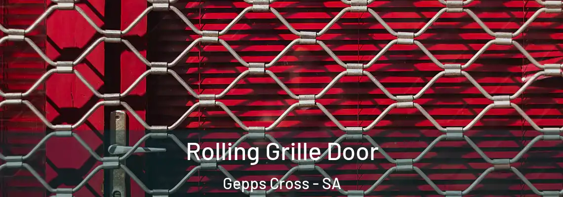 Rolling Grille Door Gepps Cross - SA