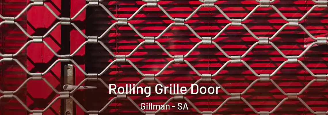 Rolling Grille Door Gillman - SA