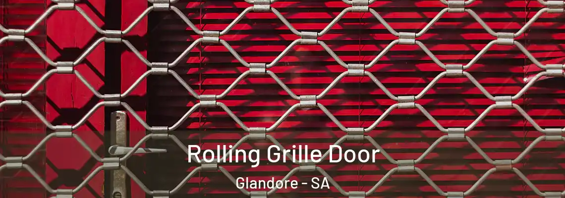  Rolling Grille Door Glandore - SA
