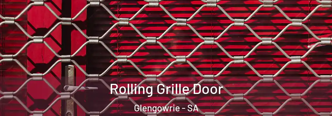  Rolling Grille Door Glengowrie - SA