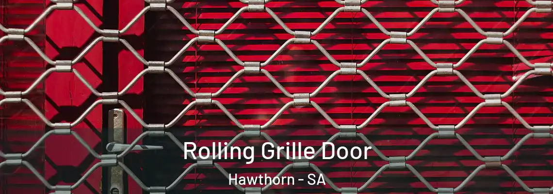  Rolling Grille Door Hawthorn - SA