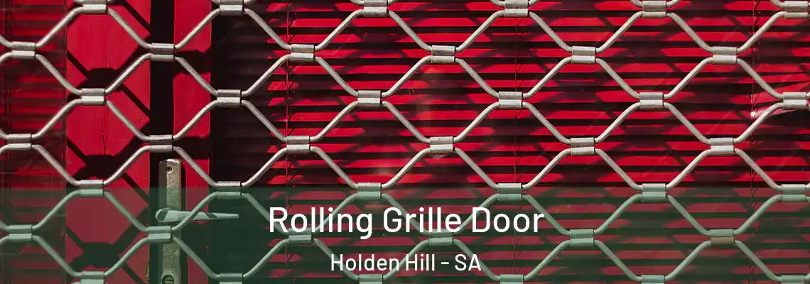 Rolling Grille Door Holden Hill - SA