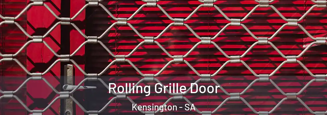  Rolling Grille Door Kensington - SA