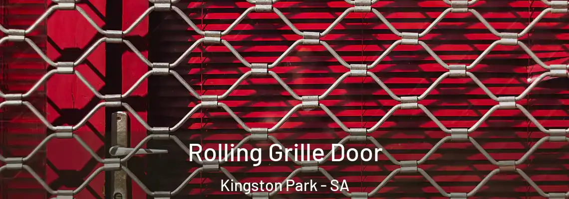  Rolling Grille Door Kingston Park - SA
