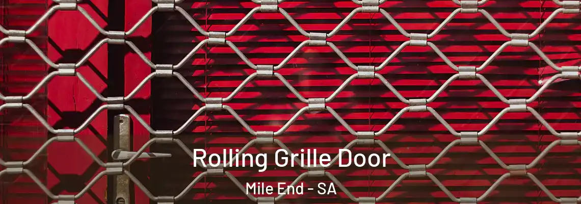  Rolling Grille Door Mile End - SA
