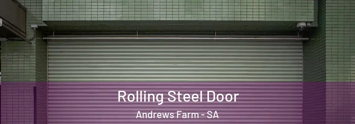 Rolling Steel Door Andrews Farm - SA
