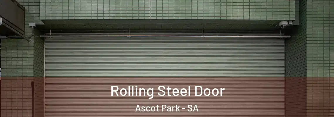  Rolling Steel Door Ascot Park - SA