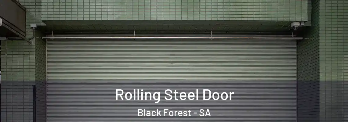  Rolling Steel Door Black Forest - SA