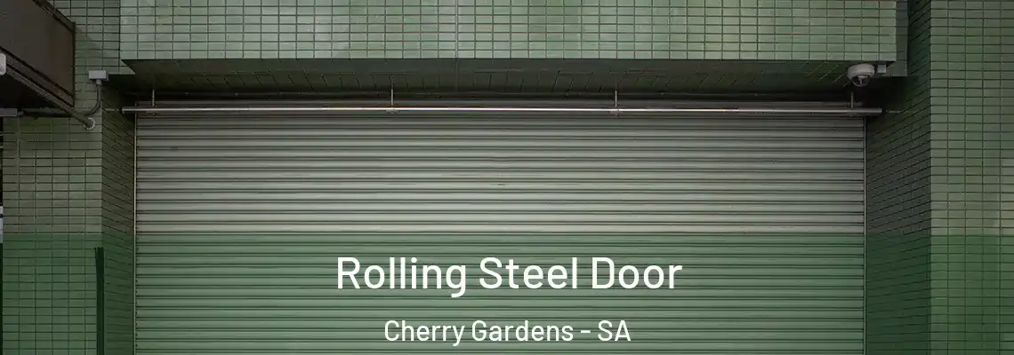 Rolling Steel Door Cherry Gardens - SA