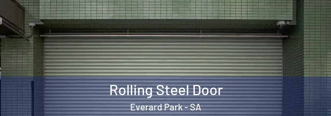  Rolling Steel Door Everard Park - SA