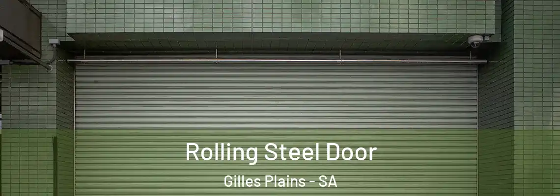 Rolling Steel Door Gilles Plains - SA