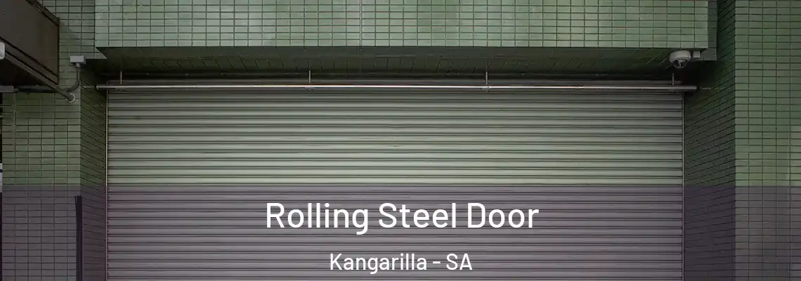 Rolling Steel Door Kangarilla - SA
