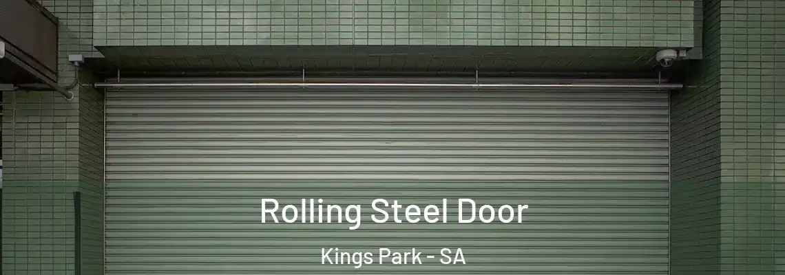 Rolling Steel Door Kings Park - SA