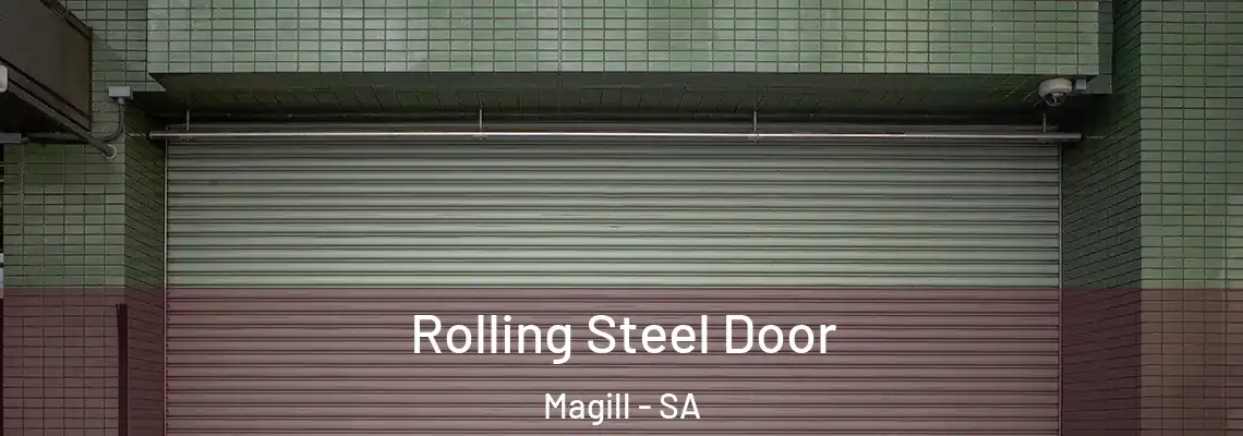  Rolling Steel Door Magill - SA