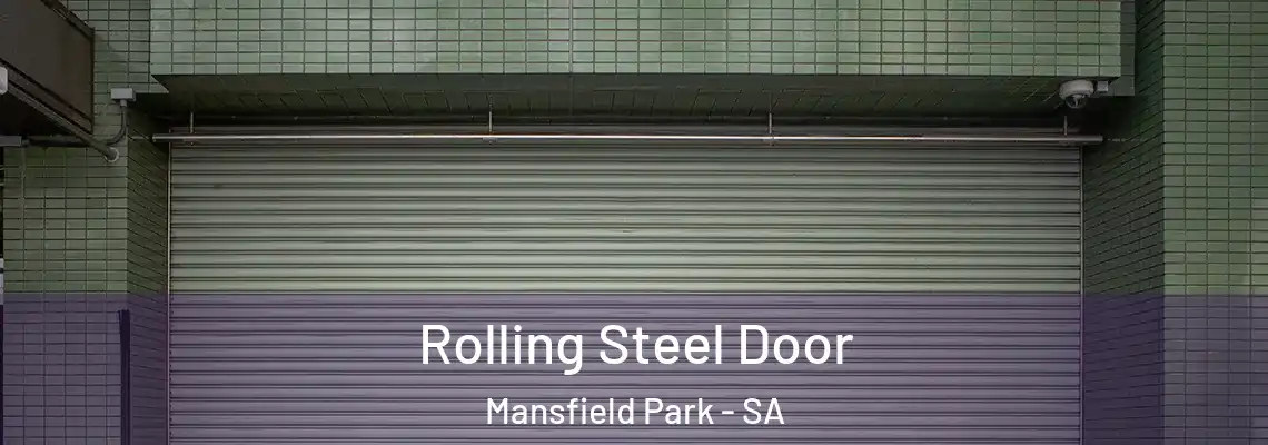 Rolling Steel Door Mansfield Park - SA